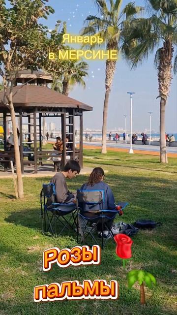 ЯНВАРЬ В МЕРСИНЕ 🇹🇷 ПОГОДА ГОРОД для отдыха смотреть онлайн