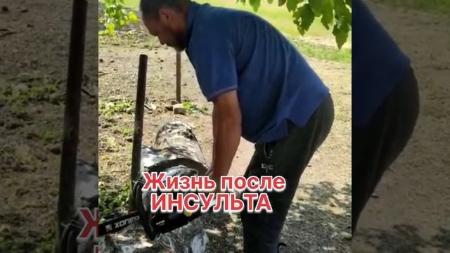 Спил берёзы после инсульта #инсульт #здоровье #болезнь смотреть онлайн