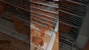 куриные джерки в дегидраторе
