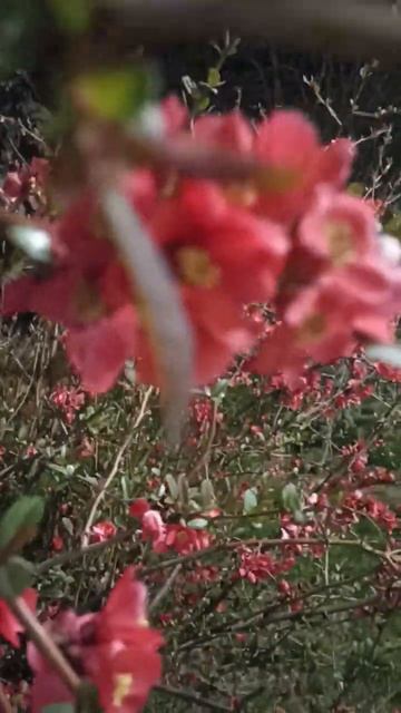 Севастополь сегодня. 24.03.2025/3.В Севастополе хорошая пог смотреть онлайн