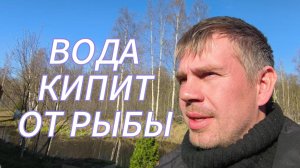 Рыбалка Мечты: Ловим Стаю на Поплавок с Лодки ПВХ (Вода Бурлит!)