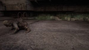 18 видов СНОРКОВ из модов STALKER