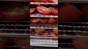 Вяленные помидорчики -Дегидратор Kitfort Kt - 1908  #kitfort #kitfortk