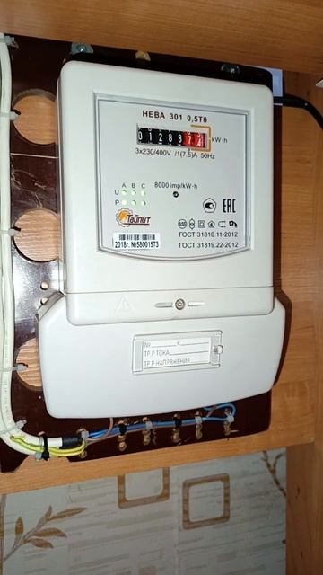 НЕВА 301 1 ТО ООО Тайпит г.Санкт-Петербург 2018г.в. смотреть онлайн