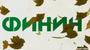 Инвестиционная платформа Финин. Инвестиции в госзаказы. Отзывы.