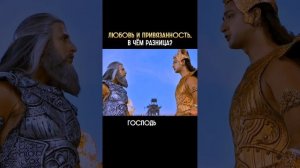 Любовь и привязанность. В чём разница?