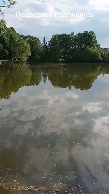 Пруды Москвы карась смотреть онлайн