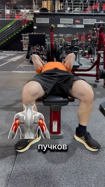 Экспресс тренировка рук с гантелями 🦾🔥 смотреть онлайн