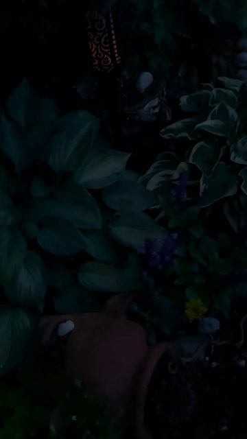 Освещение-декор в моём саду 💡#Dekobeleuchtung in meinem Garten 👌 смотреть онлайн