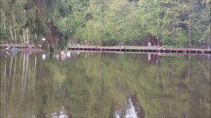 Утренний обзор с нижнего водоёма. Клёвое место, Лосиный остров.