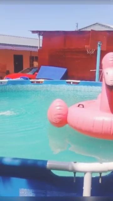 Кучугуры отдых гостевой дом 🏡 золотые 🌉 пески ⌛ 8918963 смотреть онлайн