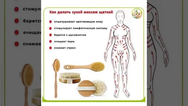 Наше здоровье: Как делать сухой массаж щеткой/04.05.22