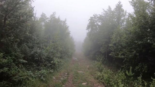 2024.07.13 - 11.22-11.41: Таганай, Отходим от Метеостанции, в обла
