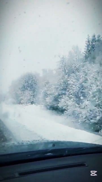 Зима Вернулась! #апрель #весна #2025 #погода #дорога #зару? смотреть онлайн