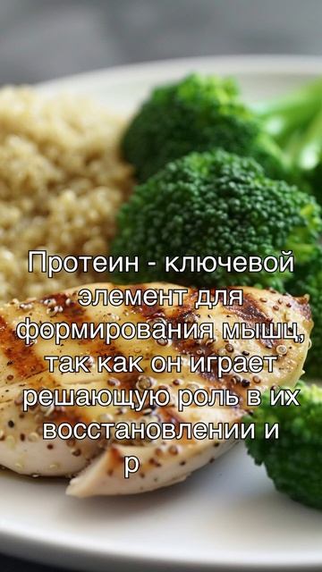 Питание для укрепления мышц смотреть онлайн