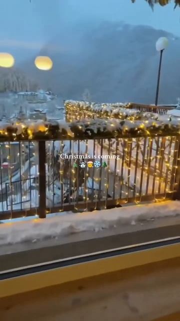 Елки можно купить у нас на сайте или в авито смотреть онлайн