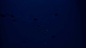 ТИЗЕР | "Блуп"