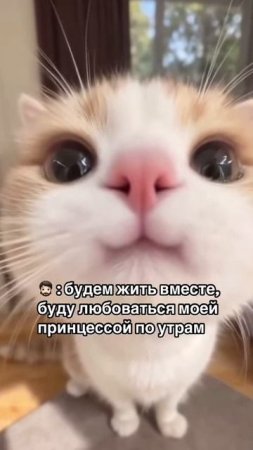Доброе утречко! 😹