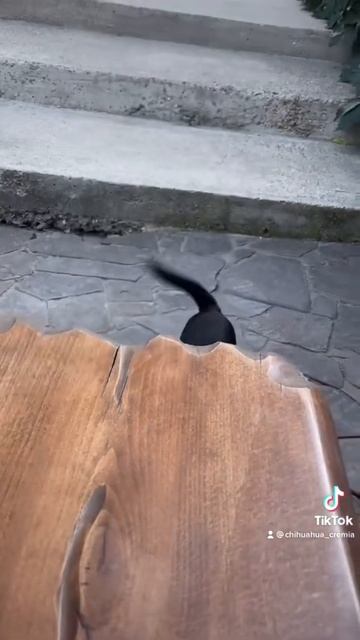 Мальчик пять месяцев,вес 2кг,привит,с документами.Ждём смотреть онлайн