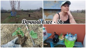 🏡 ДАЧНЫЕ РАБОТЫ // КЛУБНИКА В КОРНЯХ // НУЖНА СРОЧНО ВОДА