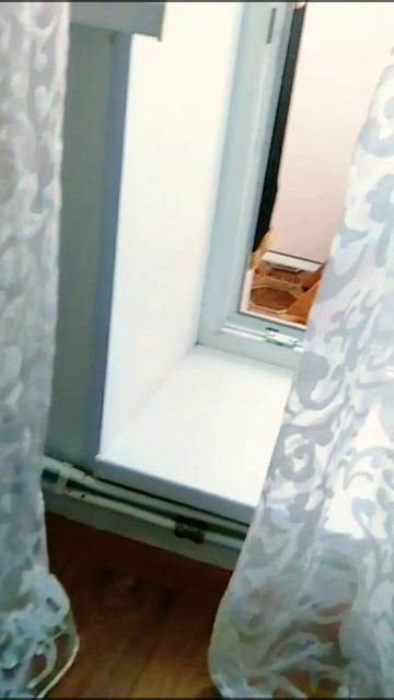 Как боимся пылесос. Вислоухий Косик и Алиса смотреть онлайн