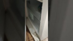 Холодильник Либхер  поиск и устранение утечки фриона