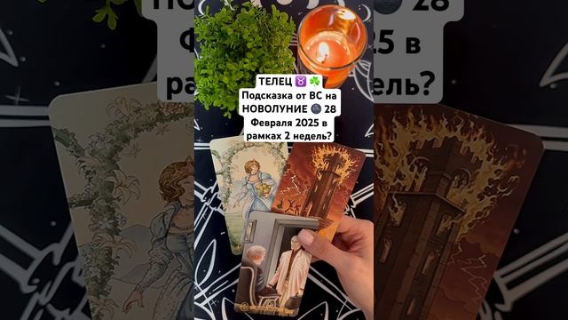 #svetlana_ray_taro #таро #таропрогнозфевраль #tarot #2025 #март#ново?