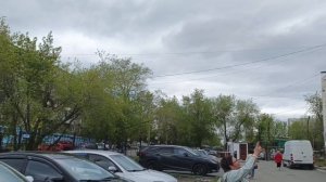 Выпуск голубей