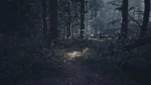 Обзор игры Blair Witch
