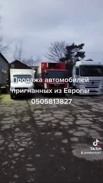 Холодильник на базе автомобиля МАН 0505813827 смотреть онлайн