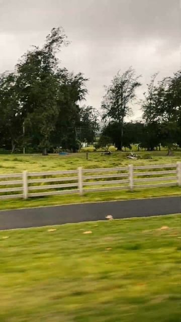 Погода испортилась, настало время покидать остров. На? смотреть онлайн