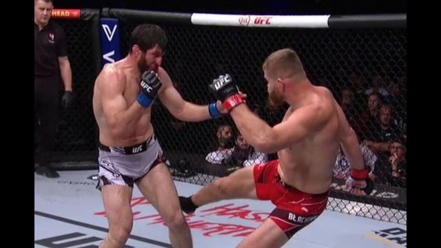 Алекс Перейра - Магомед Анкалаев | Прогноз на бой | UFC 313 смотреть онлайн