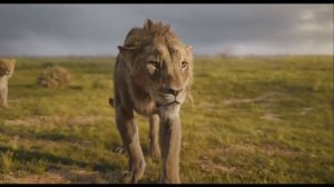 Муфаса король лев 2024 мультфильм
