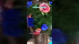 Не злите Тельца #телец #знакизодиака #телецпрогноз