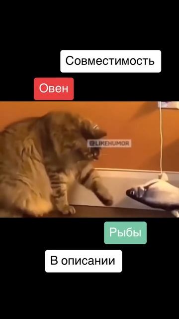 Совместимость Овен и Рыбы - 0%