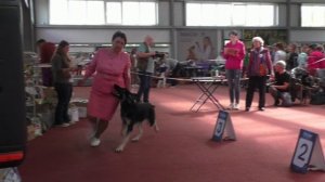 Каспер с Печатью Велеса