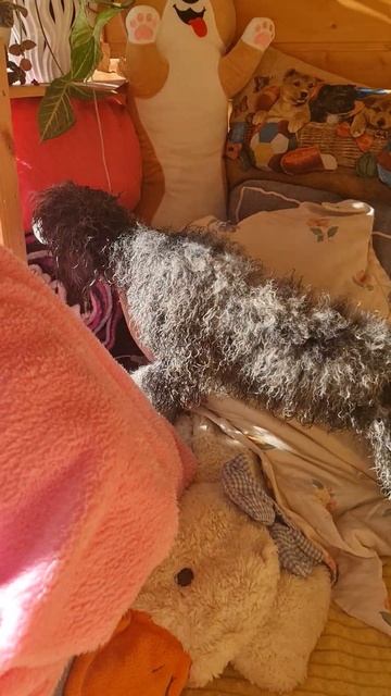 зачем придумали эти фены😄 смотреть онлайн