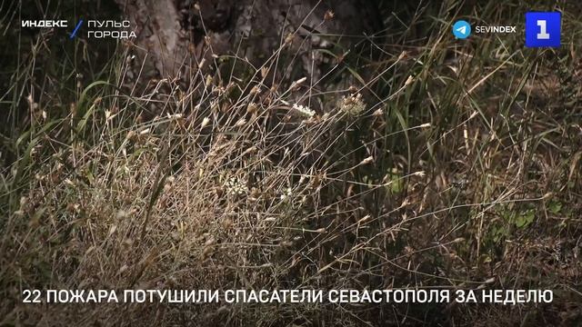 22 пожара потушили спасатели Севастополя за неделю