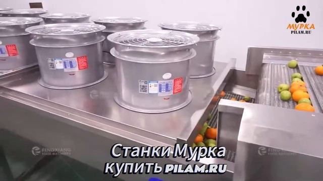 Мурка Автоматический станок для бланширования фрукто