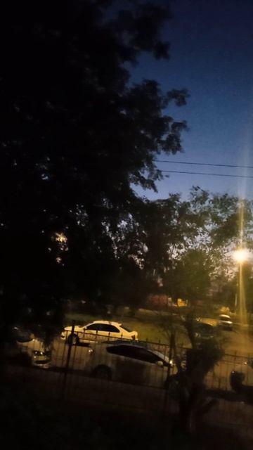 Соловей в белую ночь #Белыеночи смотреть онлайн