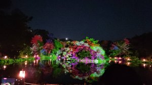 Мультимедийное шоу Moonlight Lotus Show (Лунное шоу лотосов) во дворце Чхангёнгун (창경궁 춘당지 일대)