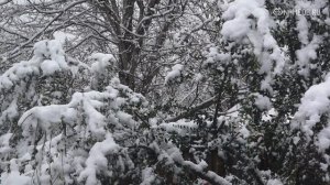 Что ждет РАКА в 2025 году — гороскоп для женщин и мужчин