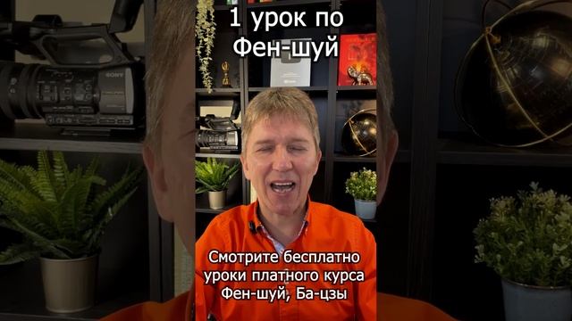 Основы фен-шуй #обучение #бацзы #феншуй #юмор #фэншуйпр?