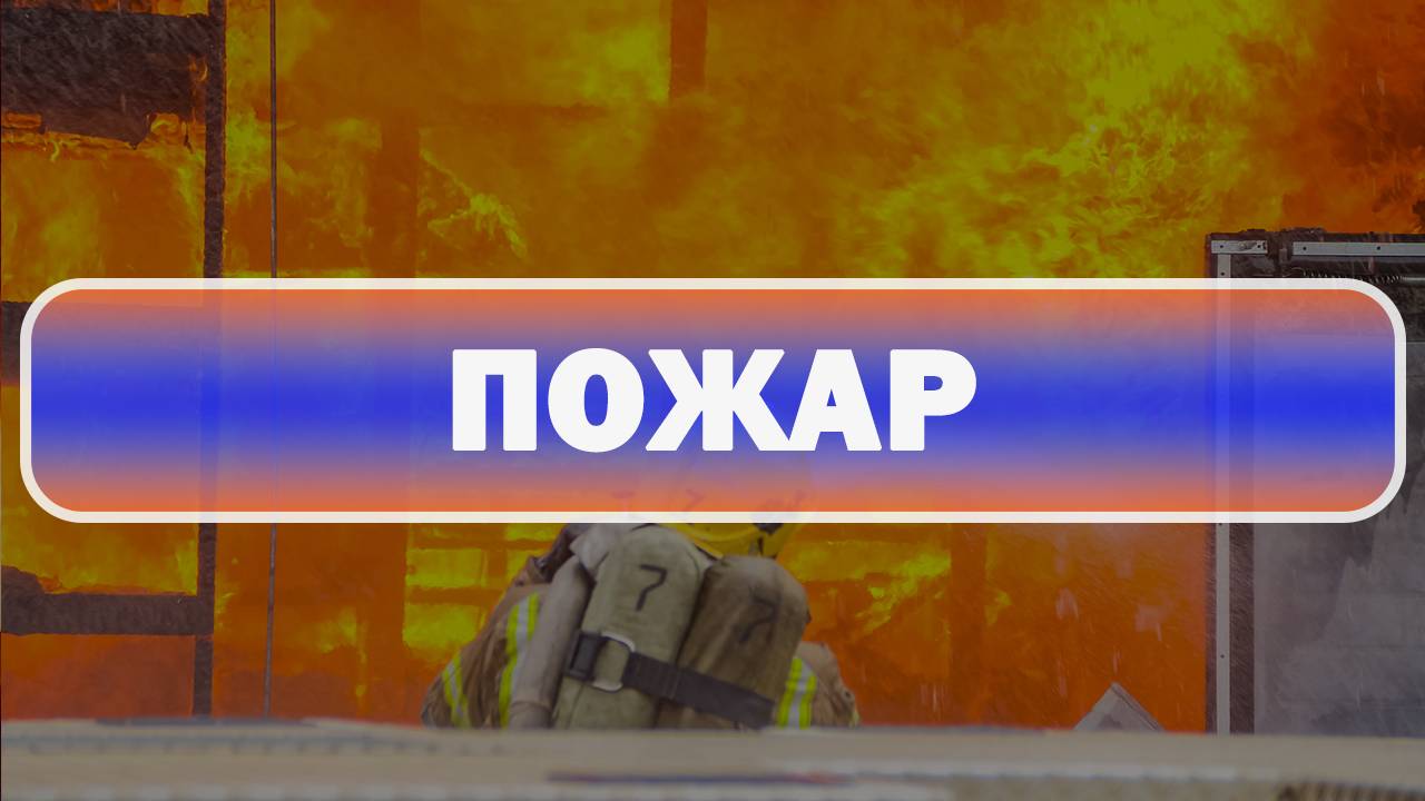 Пожар в Колпинском районе