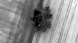 Российская армия ночью нанесла удар по военному аэродрому в Николаевской области