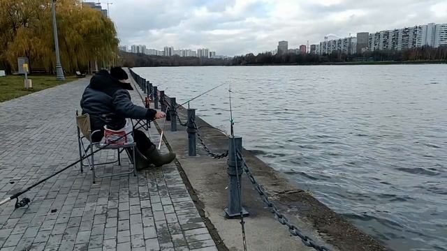 Эксперимент : Ловля рыбы на просроченную прикормку. #р?