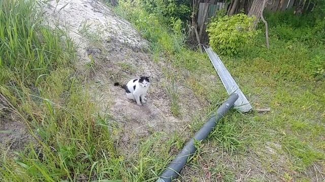 Фильтрация пруда через грунт