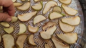 ГРУШИ, ПЕРСИКИ, ТОМАТЫ в дегидраторе