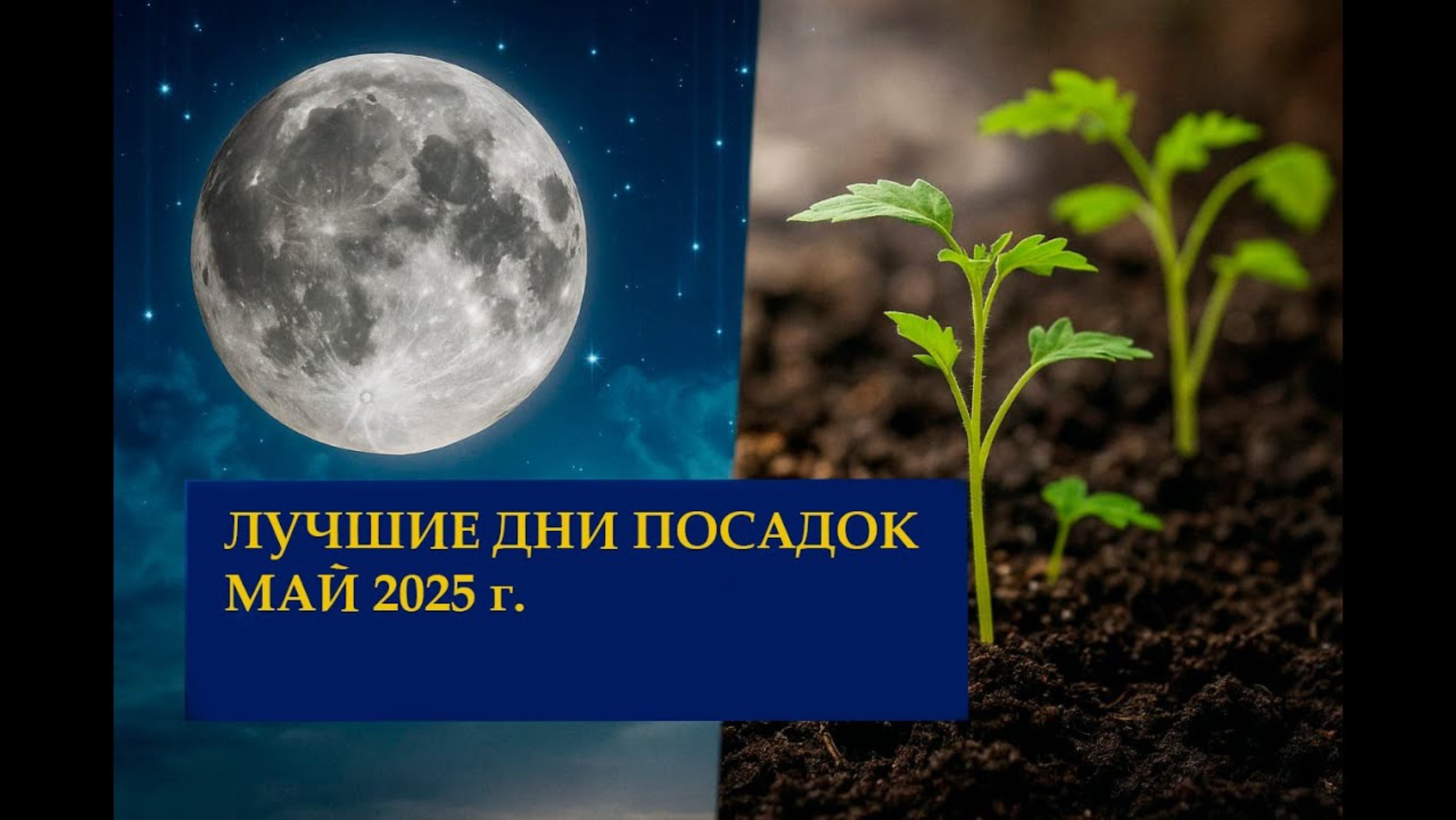 ЛУННЫЙ КАЛЕНДАРЬ САДОВОДА И ОГОРОДНИКА НА МАЙ 2025! Самые благоприятные дни