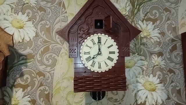 Новые настенные часы кукушка "Маяк" в коробке с докуме? смотреть онлайн